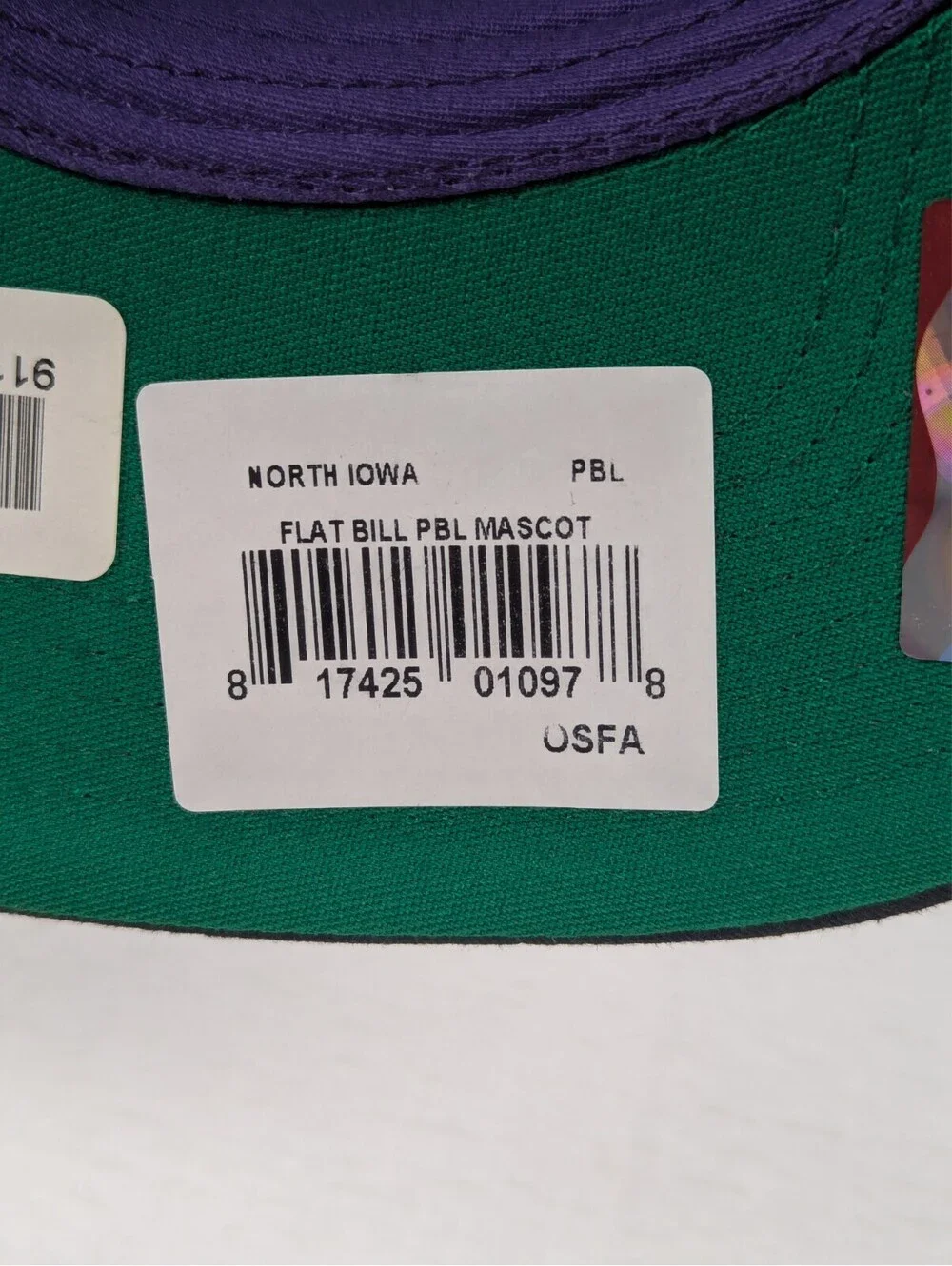 Northern Iowa University - UNI Panthers - Snapback Hat / Cap